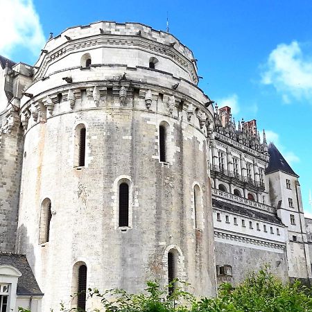 En Plein Coeur : Charmant Gite Centre Amboise Dış mekan fotoğraf