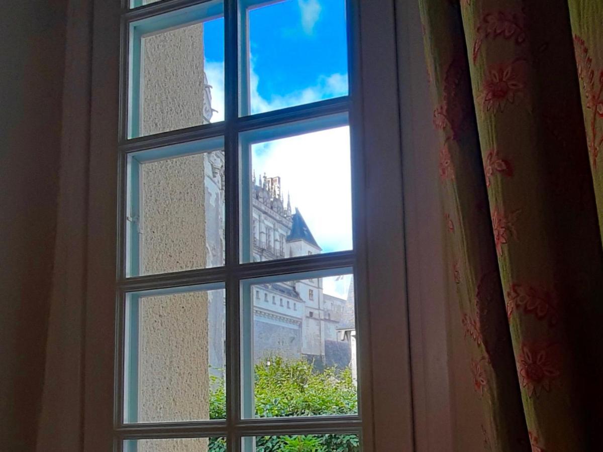 En Plein Coeur : Charmant Gite Centre Amboise Dış mekan fotoğraf