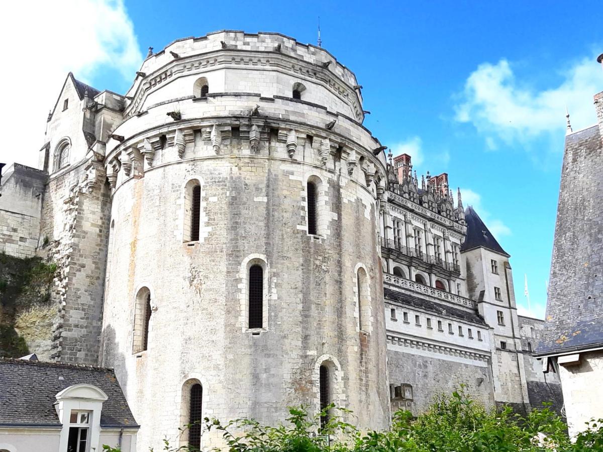 En Plein Coeur : Charmant Gite Centre Amboise Dış mekan fotoğraf